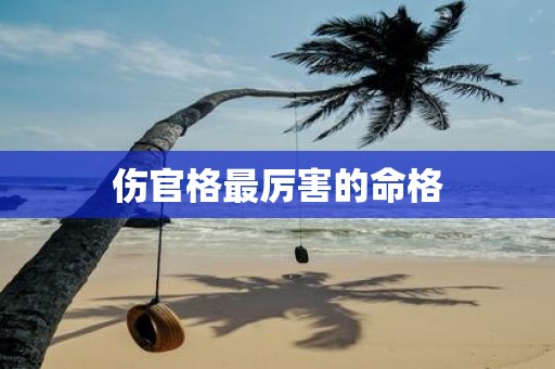 伤官格最厉害的命格