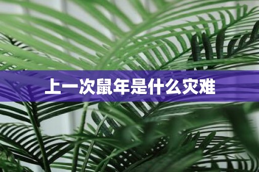 上一次鼠年是什么灾难