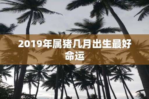 2019年属猪几月出生最好命运