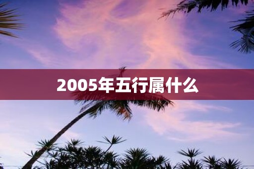 2005年五行属什么 2005年五行属什么