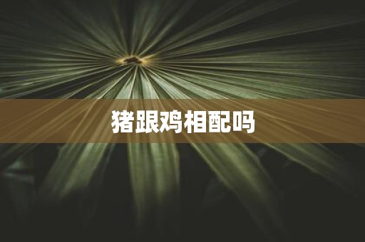 猪跟鸡相配吗