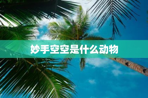 妙手空空是什么动物