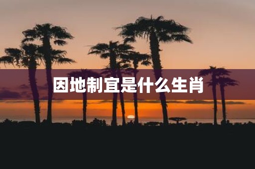 因地制宜是什么生肖