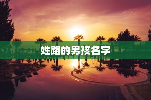 姓路的男孩名字