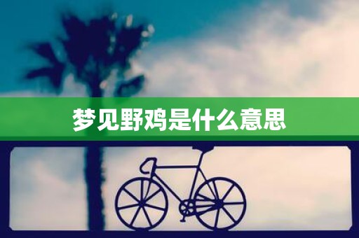 梦见野鸡是什么意思