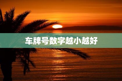 车牌号数字越小越好