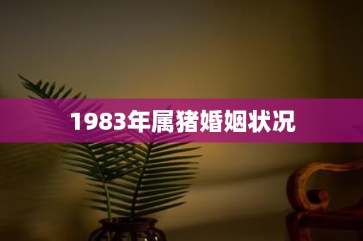 1983年属猪婚姻状况