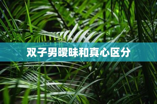 双子男暧昧和真心区分