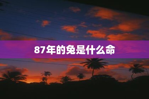 87年的兔是什么命