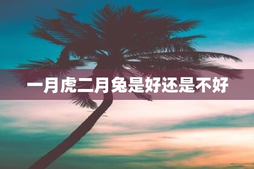 一月虎二月兔是好还是不好
