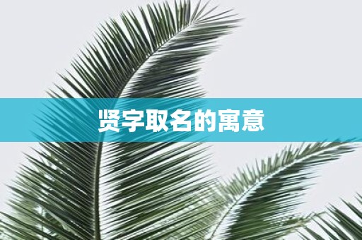 贤字取名的寓意