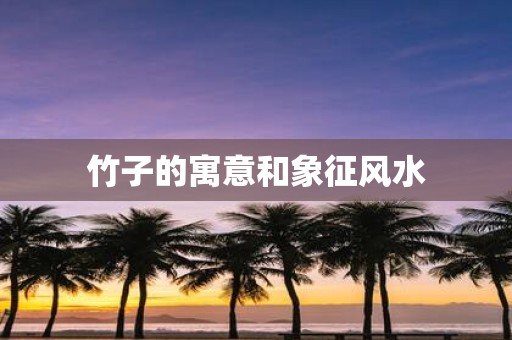 竹子的寓意和象征风水