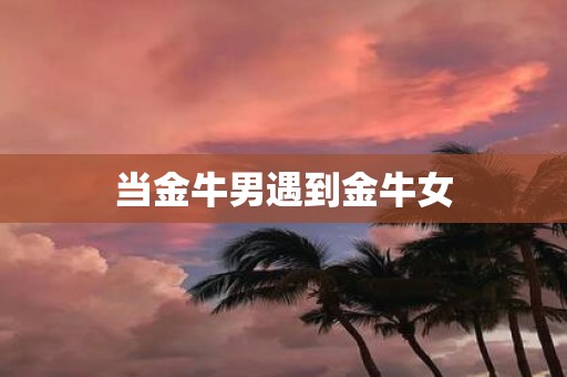 当金牛男遇到金牛女