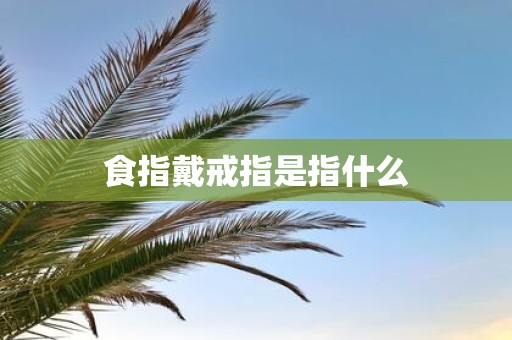 食指戴戒指是指什么