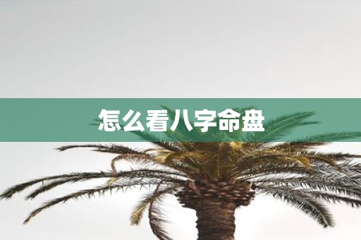 怎么看八字命盘