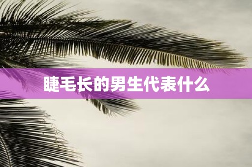 睫毛长的男生代表什么