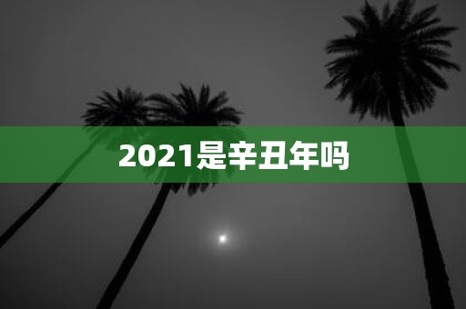 2021是辛丑年吗