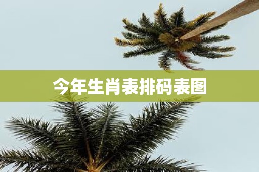 今年生肖表排码表图