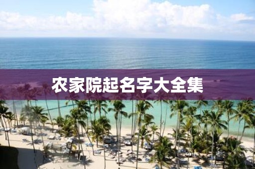 农家院起名字大全集