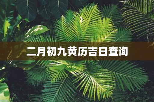 二月初九黄历吉日查询