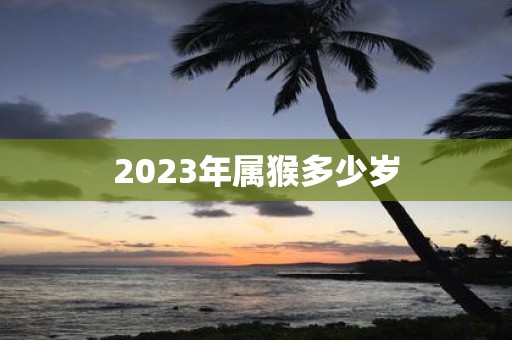 2025年属猴多少岁