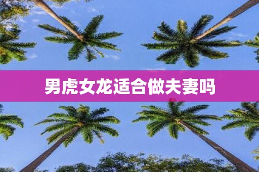 男虎女龙适合做夫妻吗