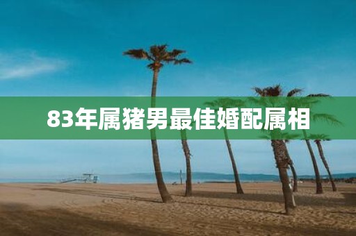 83年属猪男最佳婚配属相
