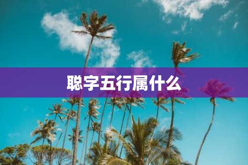 聪字五行属什么