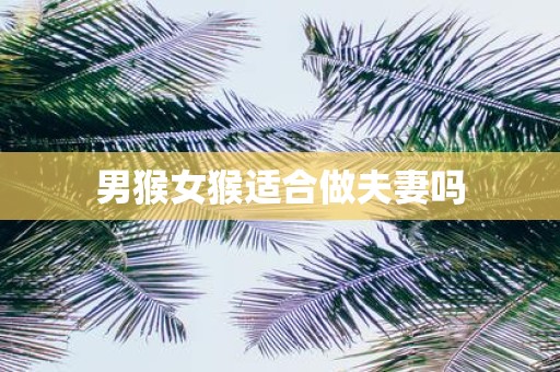 男猴女猴适合做夫妻吗