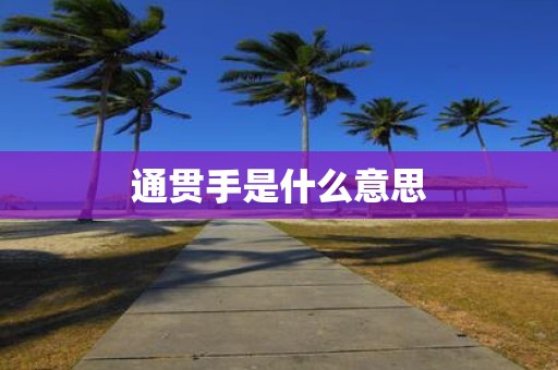 通贯手是什么意思