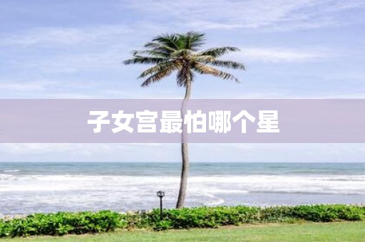 子女宫最怕哪个星