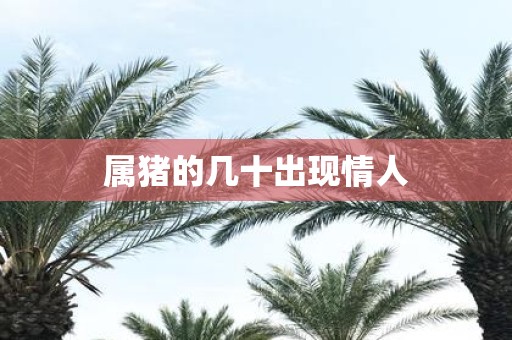 属猪的几十出现情人