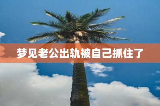 梦见老公出轨被自己抓住了