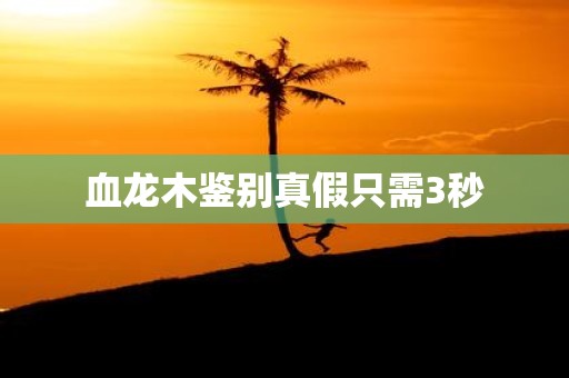血龙木鉴别真假只需3秒