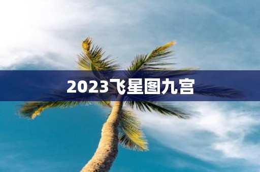 2025飞星图九宫