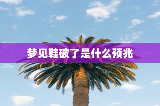 梦见鞋破了是什么预兆