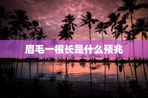 眉毛一根长是什么预兆