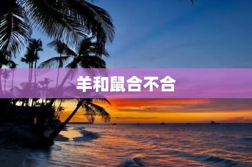 羊和鼠合不合
