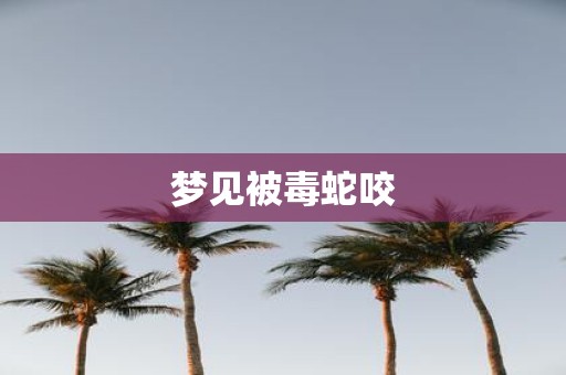 梦见被毒蛇咬