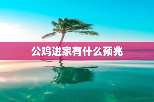 公鸡进家有什么预兆
