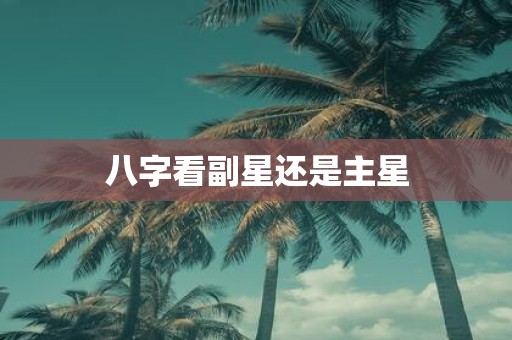 八字看副星还是主星