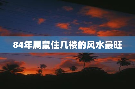 84年属鼠住几楼的风水最旺