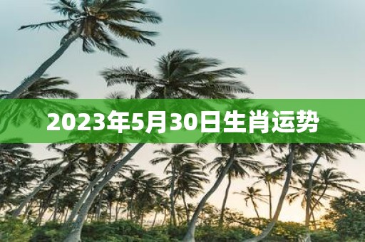 2025年5月30日生肖运势