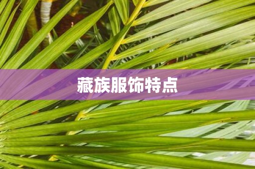 藏族服饰特点