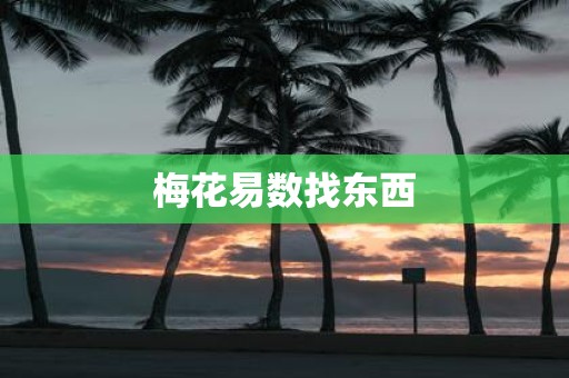 梅花易数找东西