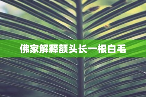 佛家解释额头长一根白毛