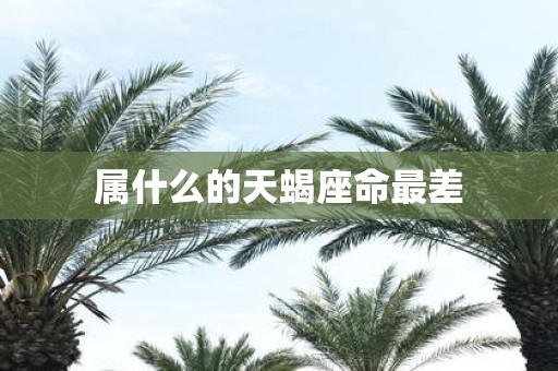 属什么的天蝎座命最差