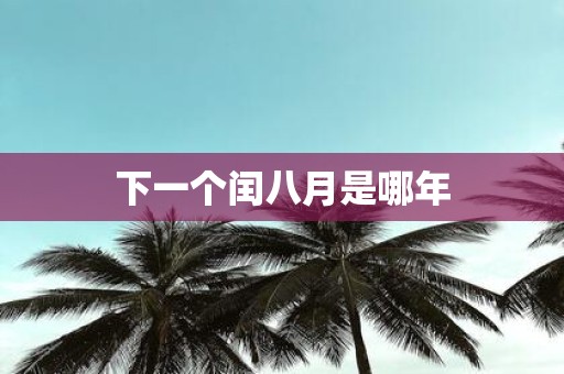 下一个闰八月是哪年