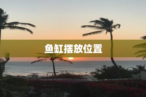鱼缸摆放位置