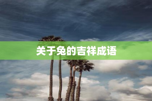 关于兔的吉祥成语